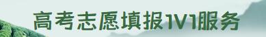 高考志愿填报1V1服务.jpg