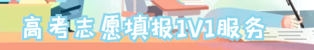 高考志愿填报1V1服务.png