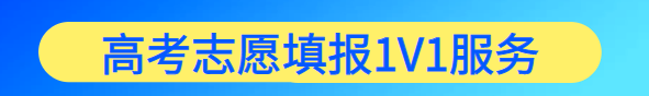 高考志愿填报1V1服务.png