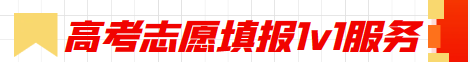 高考志愿填报1V1服务.png